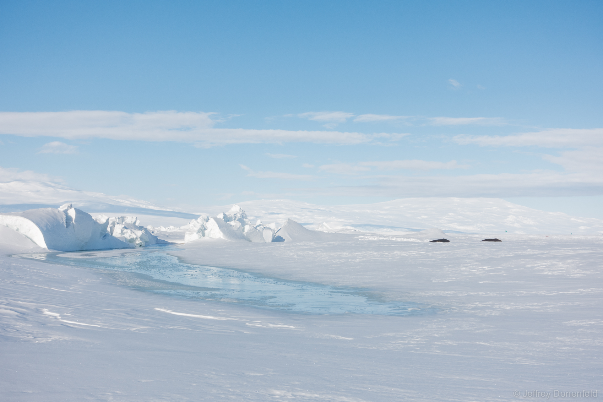 Melt Pools form in the low sections of the ridges. It's in these melt pools that Weddle Seals make holes from the Ross Sea onto the ice. Here you can see two seals hanging out on the ice.